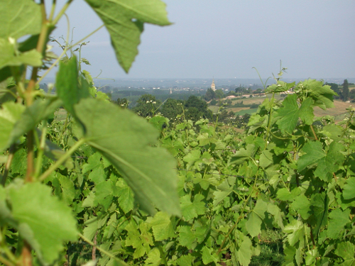 Mauvezin, balade dans les coteaux de la Gupie, Mauvezin-sur-Gupie