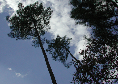 Villefranche, la bastide du Queyran, Villefranche-du-Queyran - photo 2