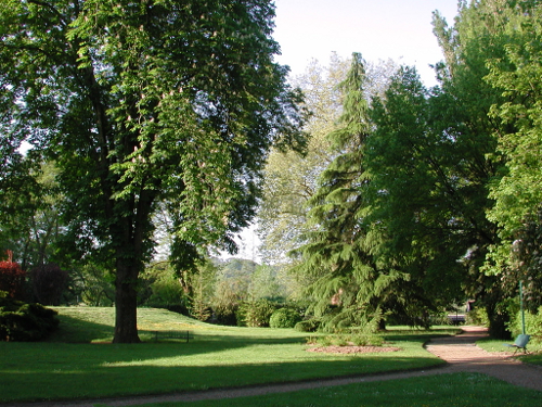 Casteljaloux, au pays des Cadets de Gascogne, Casteljaloux - photo 5