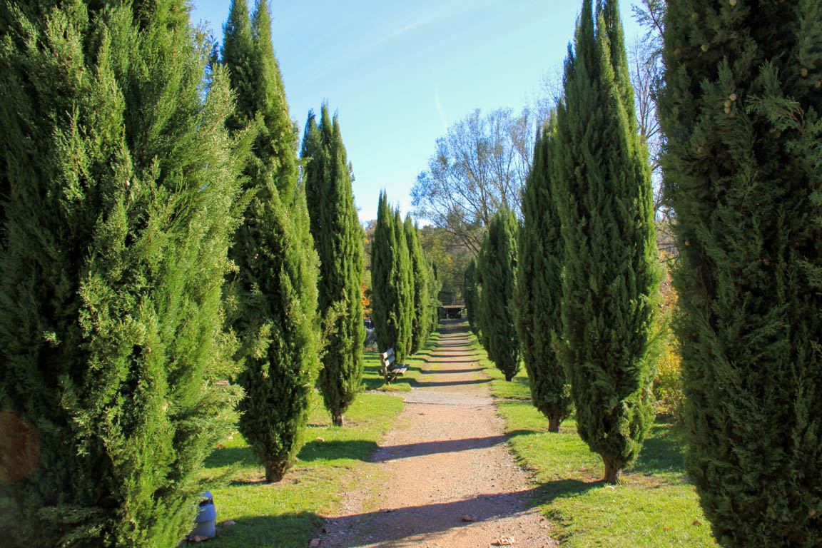 De Mézin, la Médiévale à Poudenas, l'Italienne, Mézin - photo 12