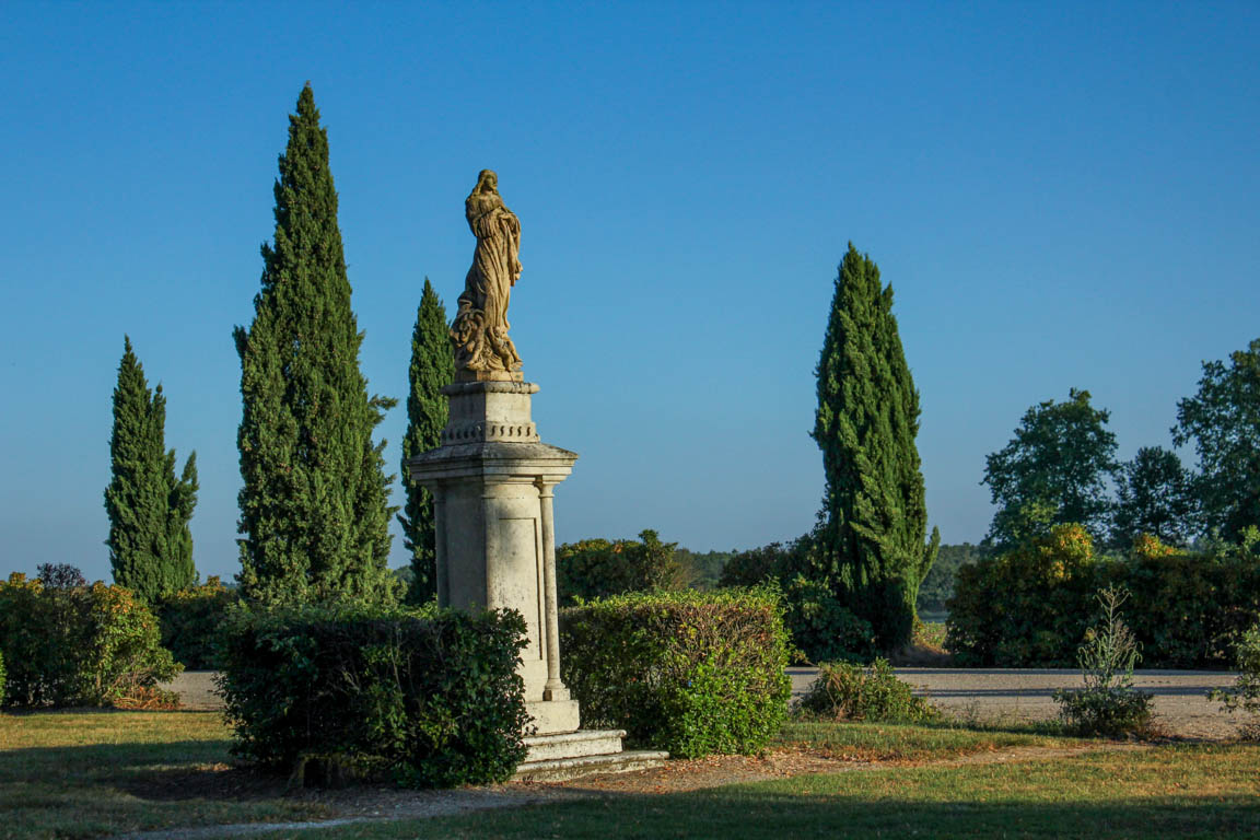 Sainte-Maure-de-Peyriac, l'arbre et le cep, Sainte-Maure-de-Peyriac