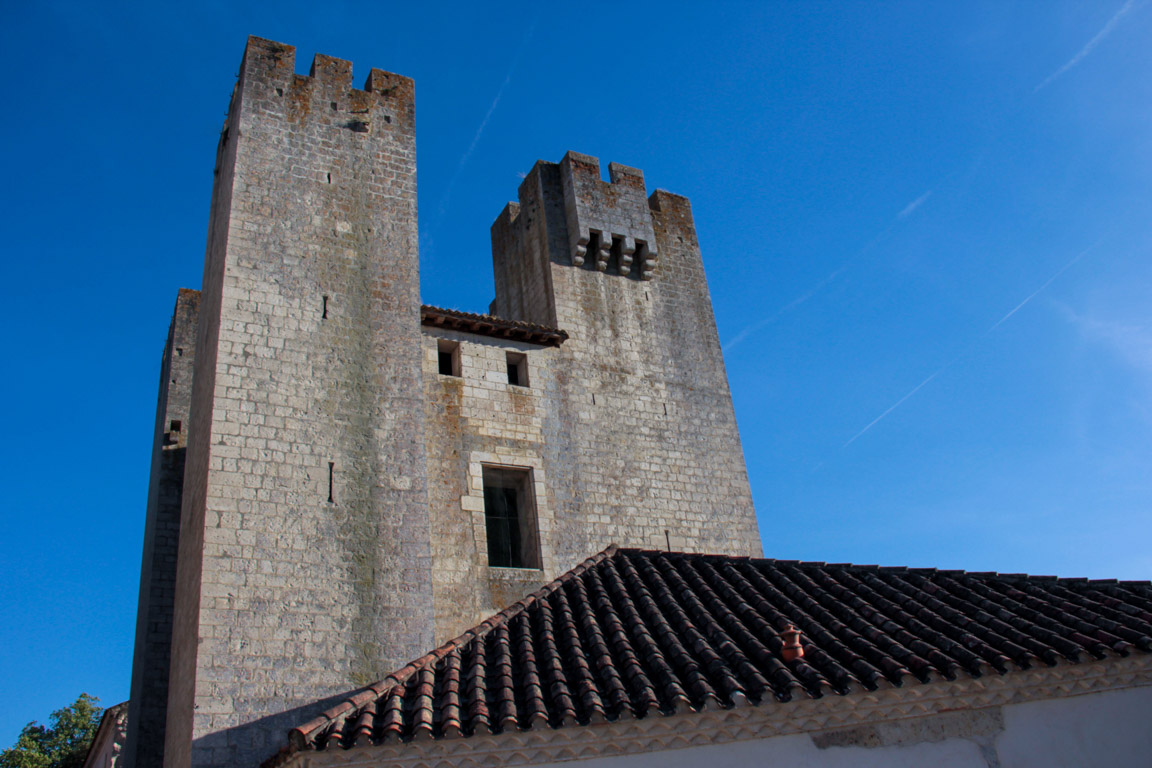 Gélise, frontière des sables, Barbaste - photo 8