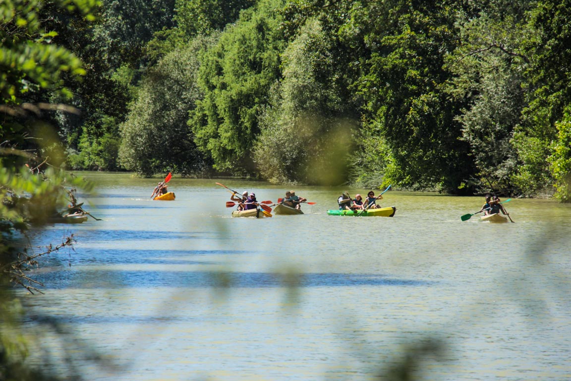 Gélise, frontière des sables, Barbaste - photo 6
