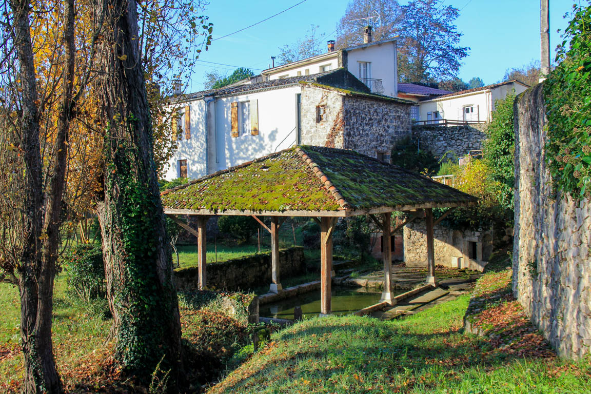 Gélise, frontière des sables, Barbaste - photo 11