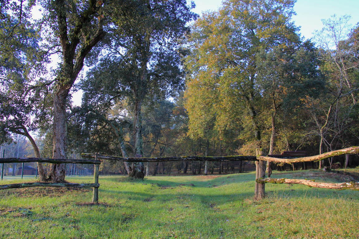 Cauderoue et Ste-Catherine, les pieds dans la Gélise, Barbaste - photo 4