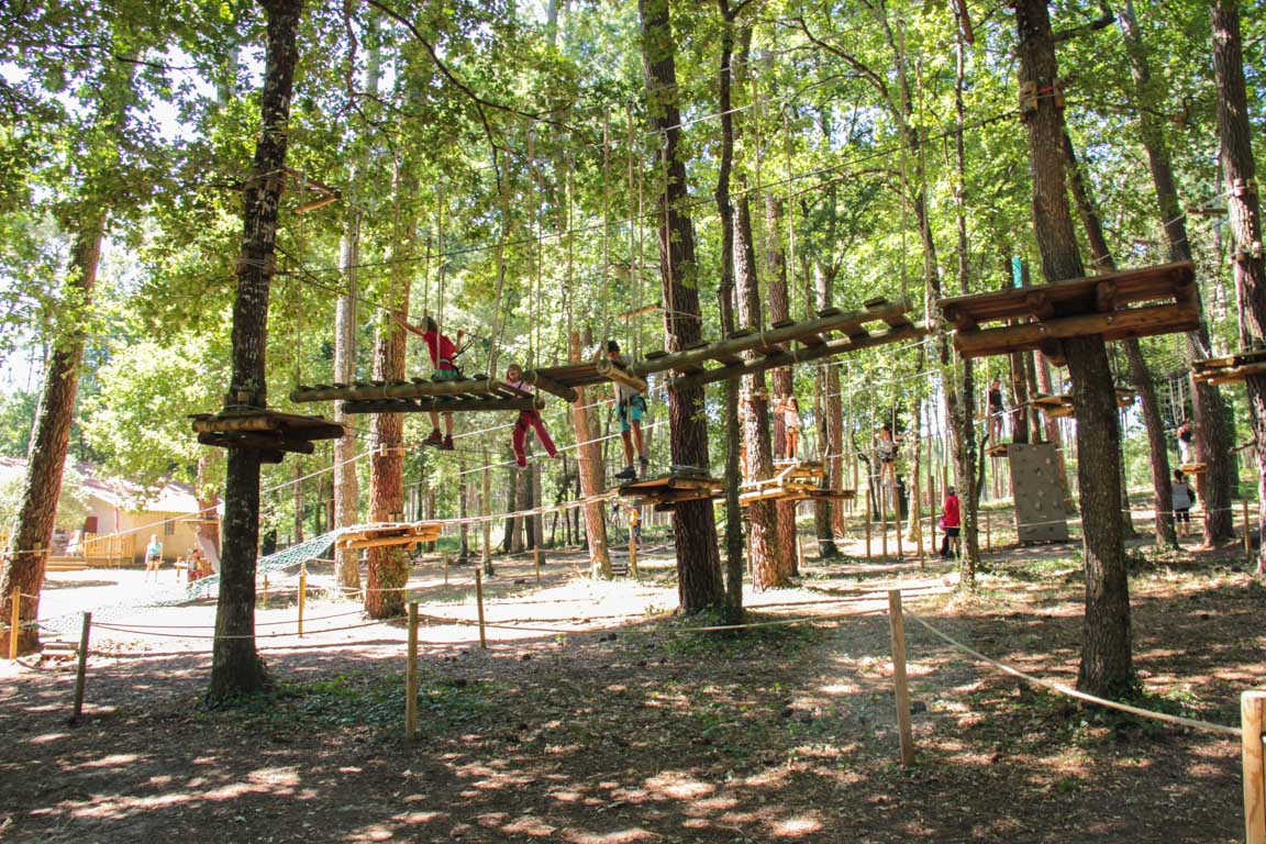 Cauderoue et Ste-Catherine, les pieds dans la Gélise, Barbaste - photo 6