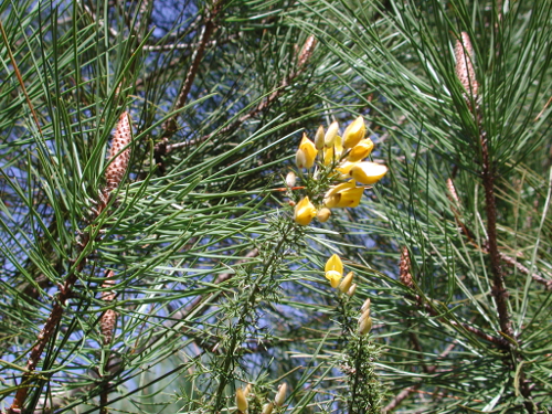 Caubeyres, la fontaine bouillonnante, Caubeyres - photo 5
