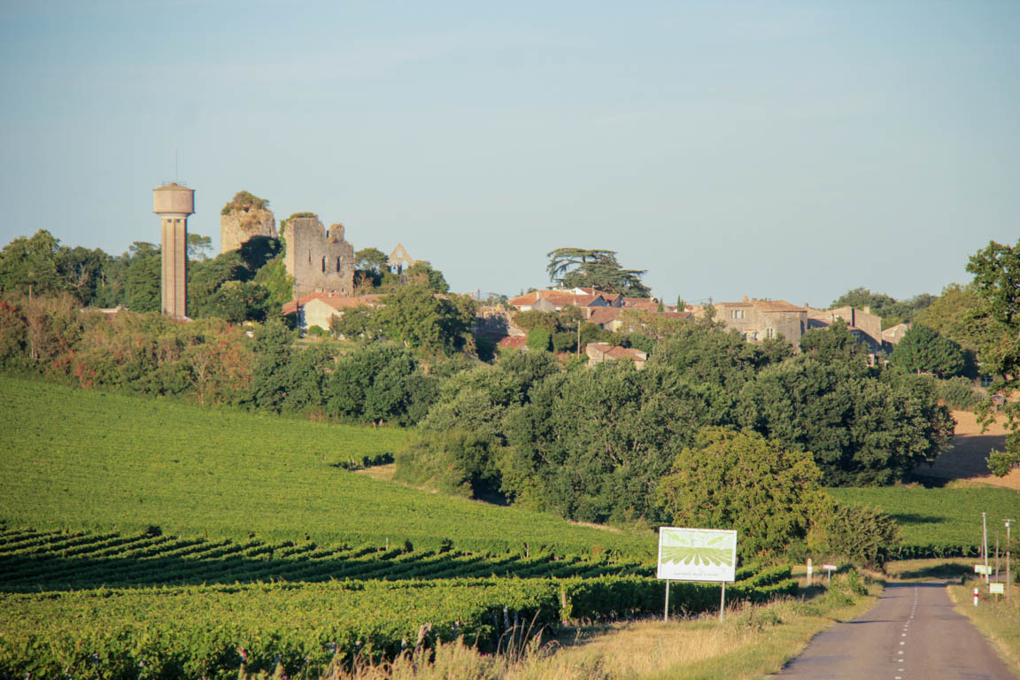 Vianne, une bastide sur la Baïse, Vianne - photo 14