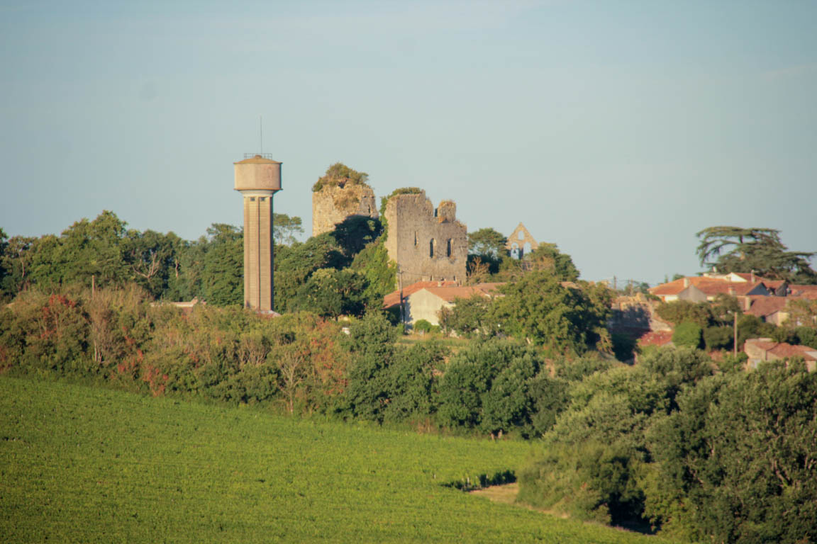 Vianne, une bastide sur la Baïse, Vianne - photo 12