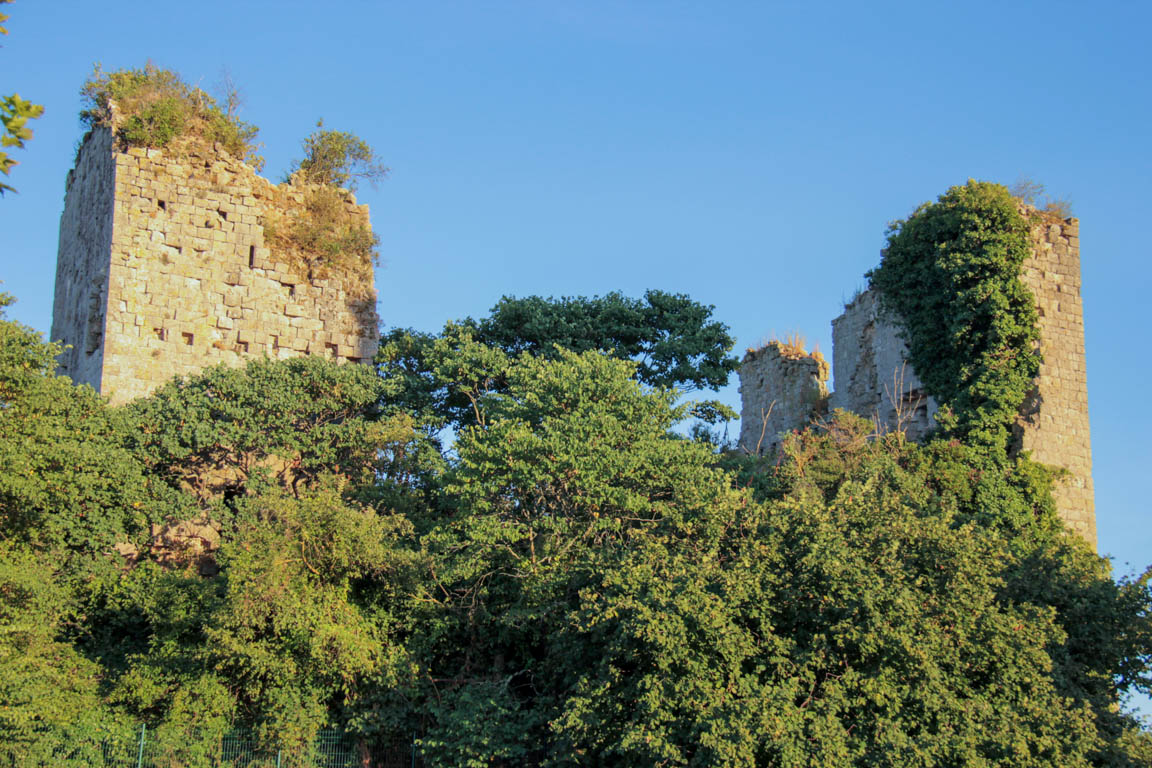 Vianne, une bastide sur la Baïse, Vianne - photo 20