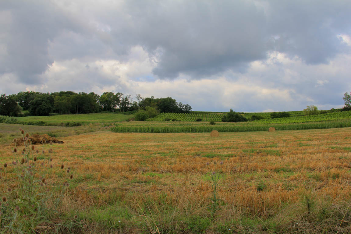 Vianne, une bastide sur la Baïse, Vianne - photo 9