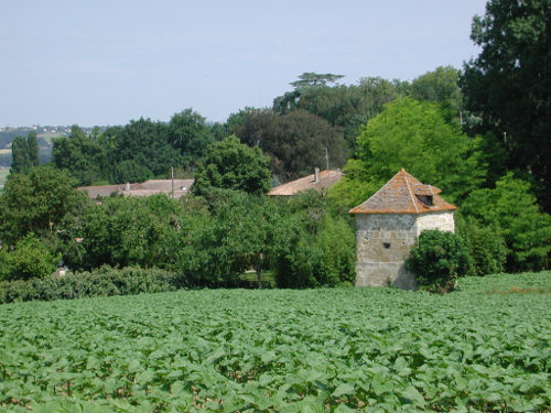 Birac-sur-Trec, des coteaux à la plaine de Garonne, Birac-sur-Trec - photo 6