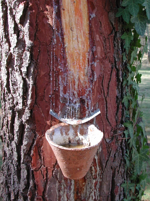 Pompogne, un sentier d'interprétation, Pompogne