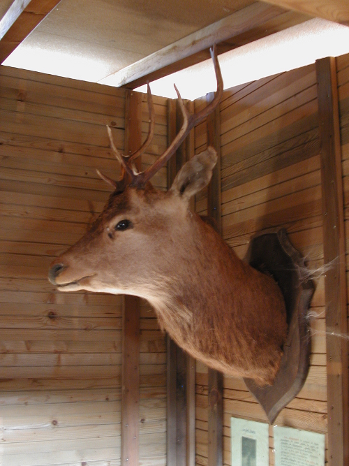 La Taillade, vacances dans les bois de la Réunion, La Réunion