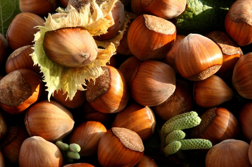 Cancon, vers Moulinet, à la découverte du terroir