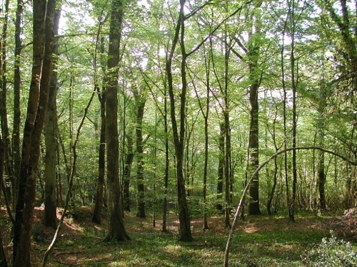 Guérin, balade vers l'église d'Esquerdes, Guérin