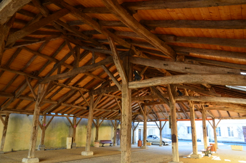 Puch-d’Agenais, dans les terrasse de Garonne, Puch-d'Agenais - photo 2