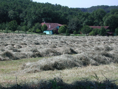 Saint-Antoine-de-Ficalba, un cheminement vers Doumillac et Cambes, Saint-Antoine-de-Ficalba