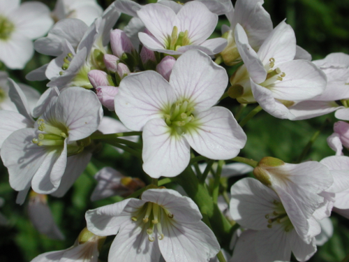 Andiran, balade autour du village, Andiran - photo 2