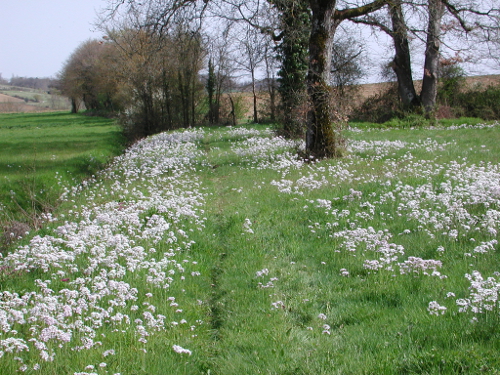 Andiran, randonnée entre l'Osse et la Gélise