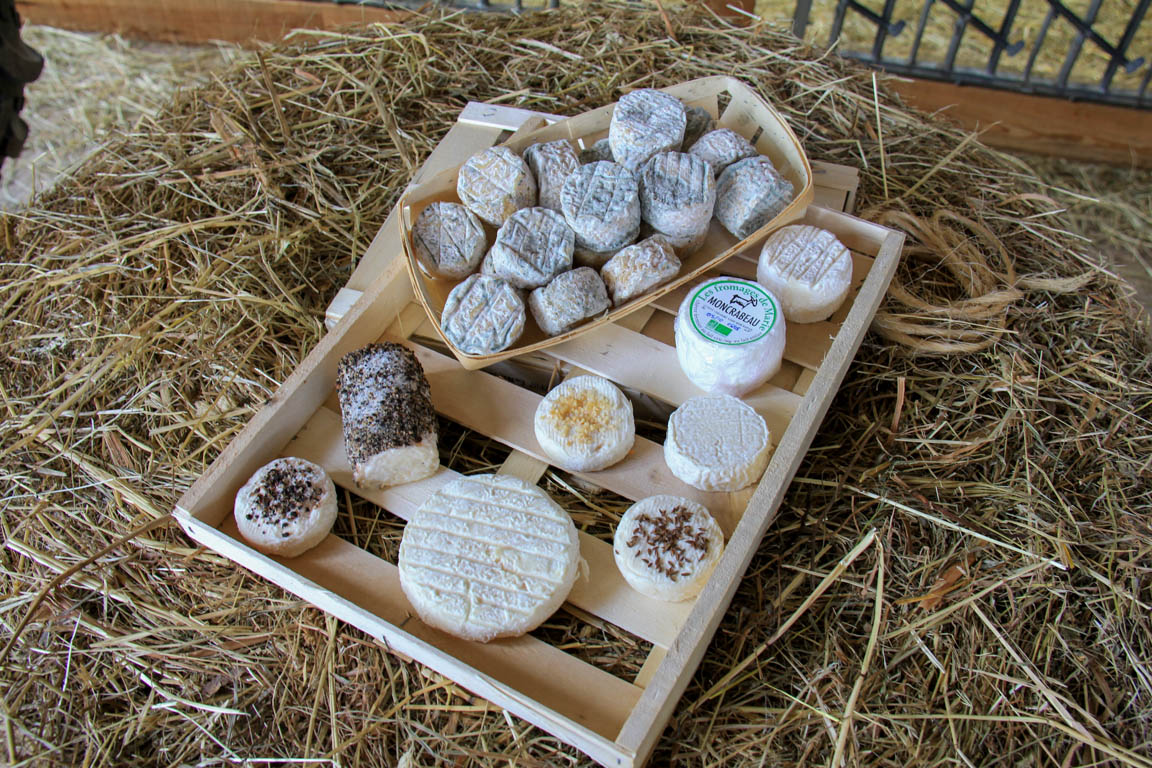 Artigues, dans les vallées d'Albret, Moncrabeau - photo 10