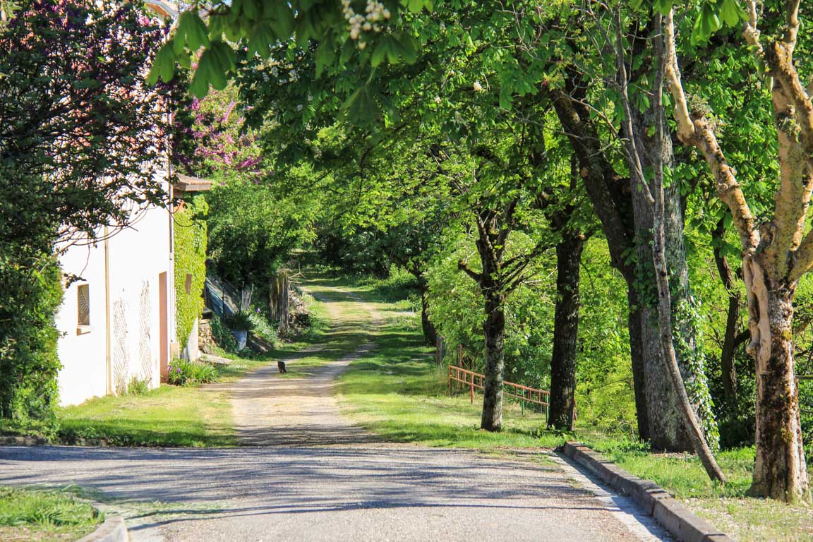 Artigues, dans les vallées d'Albret, Moncrabeau - photo 3