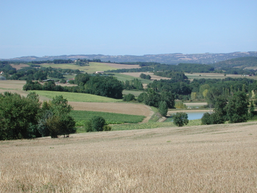 Calignac, un petit village gascon, Calignac - photo 3