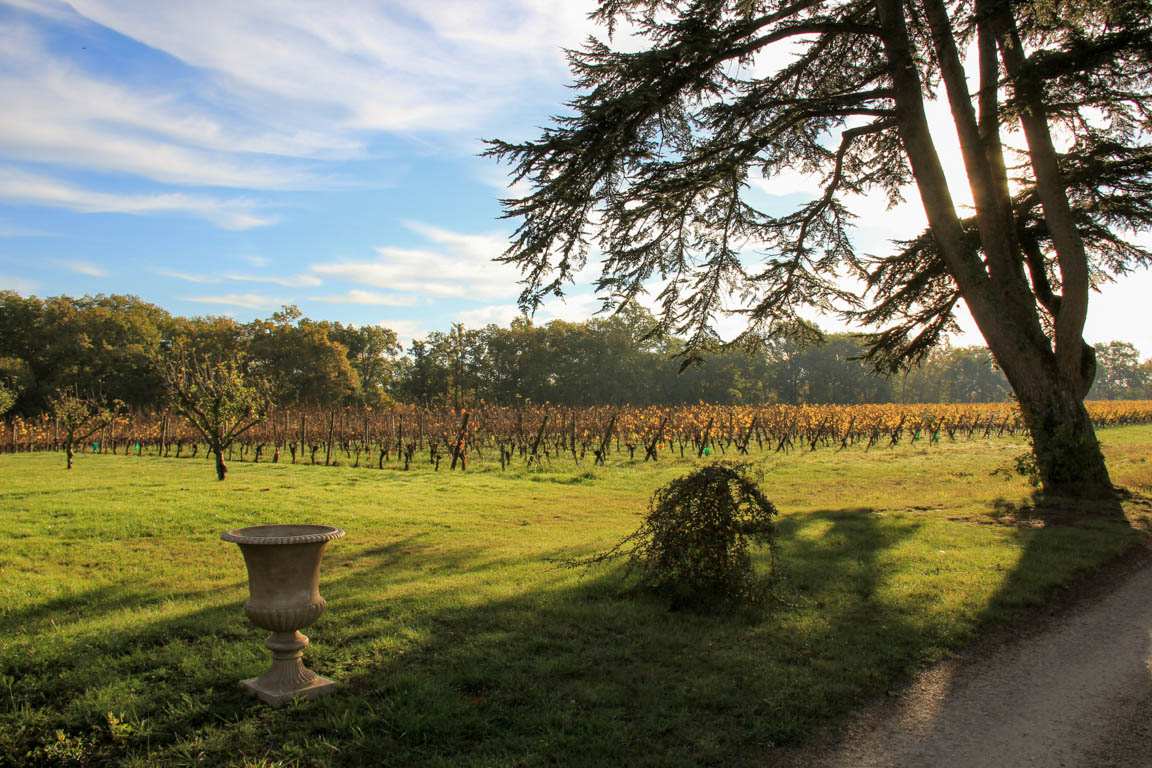 Espiens, dans les coteaux, vers le château de Salles, Espiens - photo 5