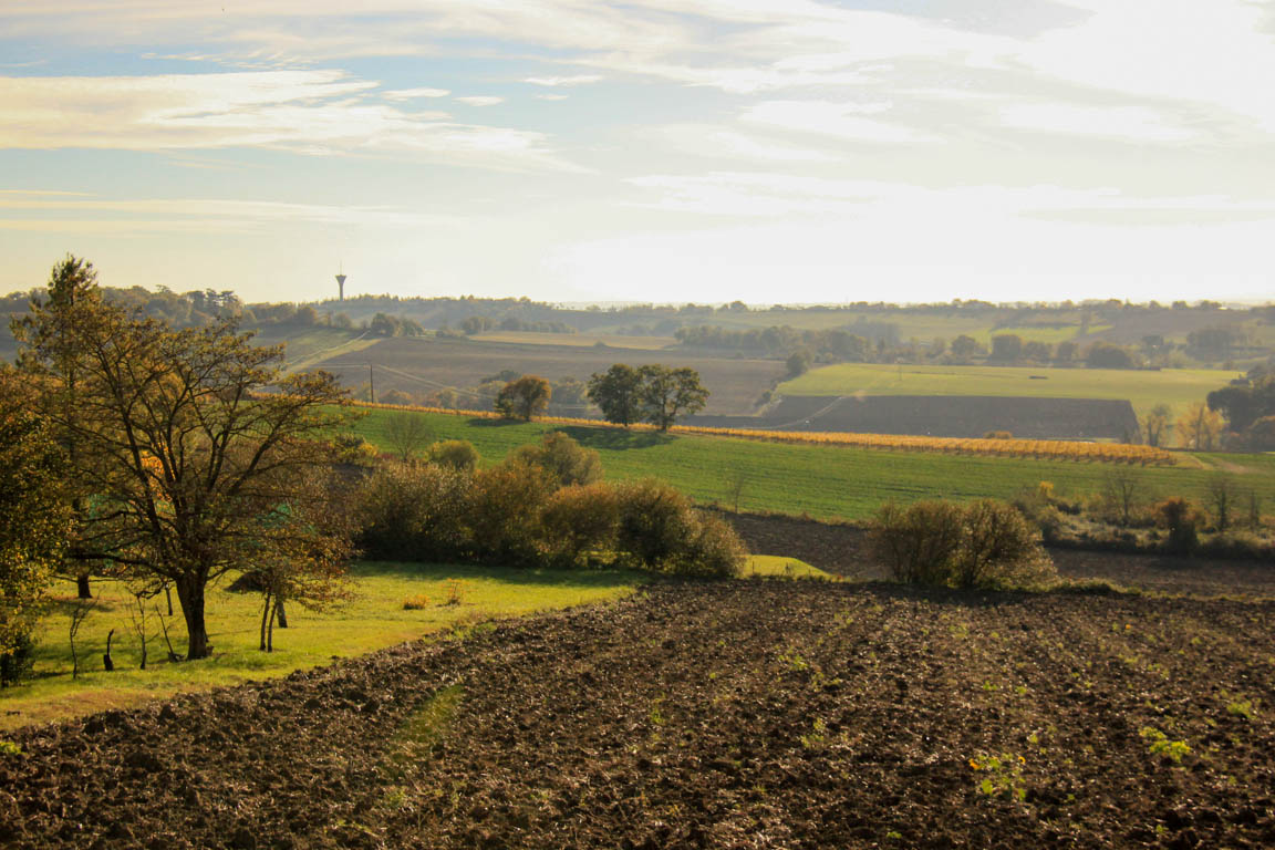 Espiens, dans les coteaux, vers le château de Salles, Espiens - photo 13