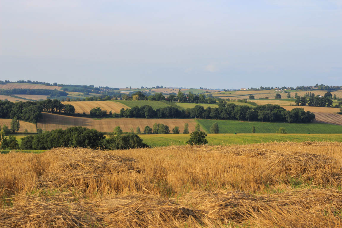 Francescas, circuit des pigeonniers de Gascogne, Francescas - photo 2