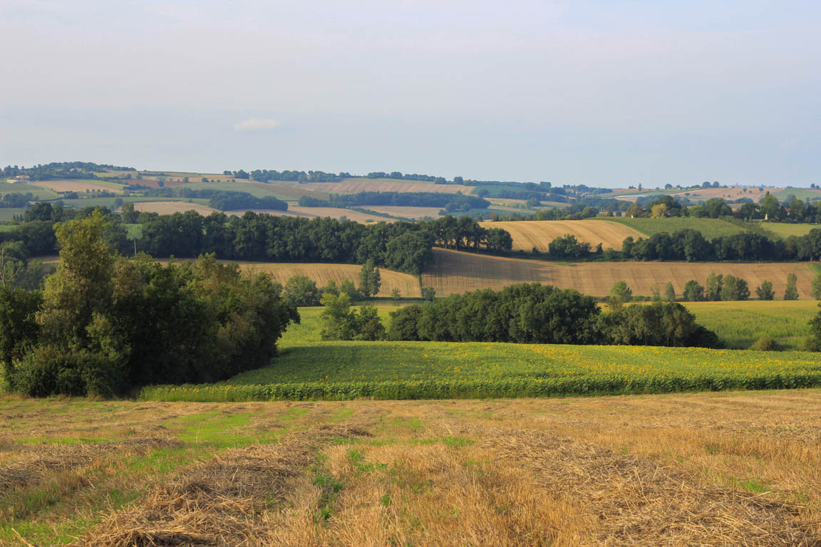 Francescas, circuit des pigeonniers de Gascogne, Francescas - photo 18