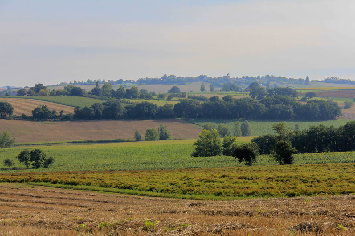 Francescas, circuit des pigeonniers de Gascogne, Francescas - photo 17