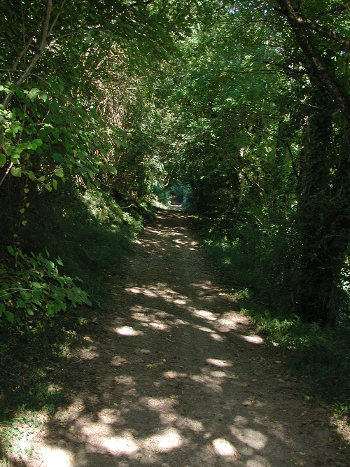 Le Fréchou, balade panoramique sur la vallée de l'Osse, Fréchou - photo 2