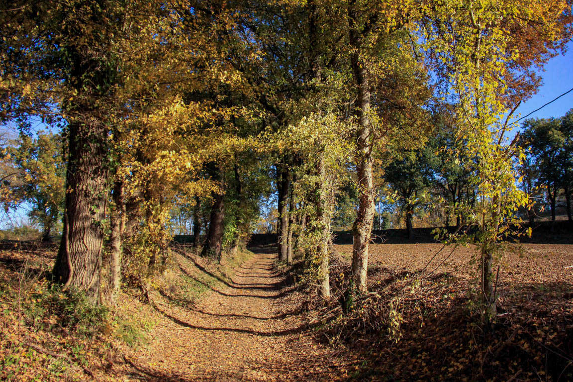 Le Fréchou, le pays des frênes, Fréchou - photo 8