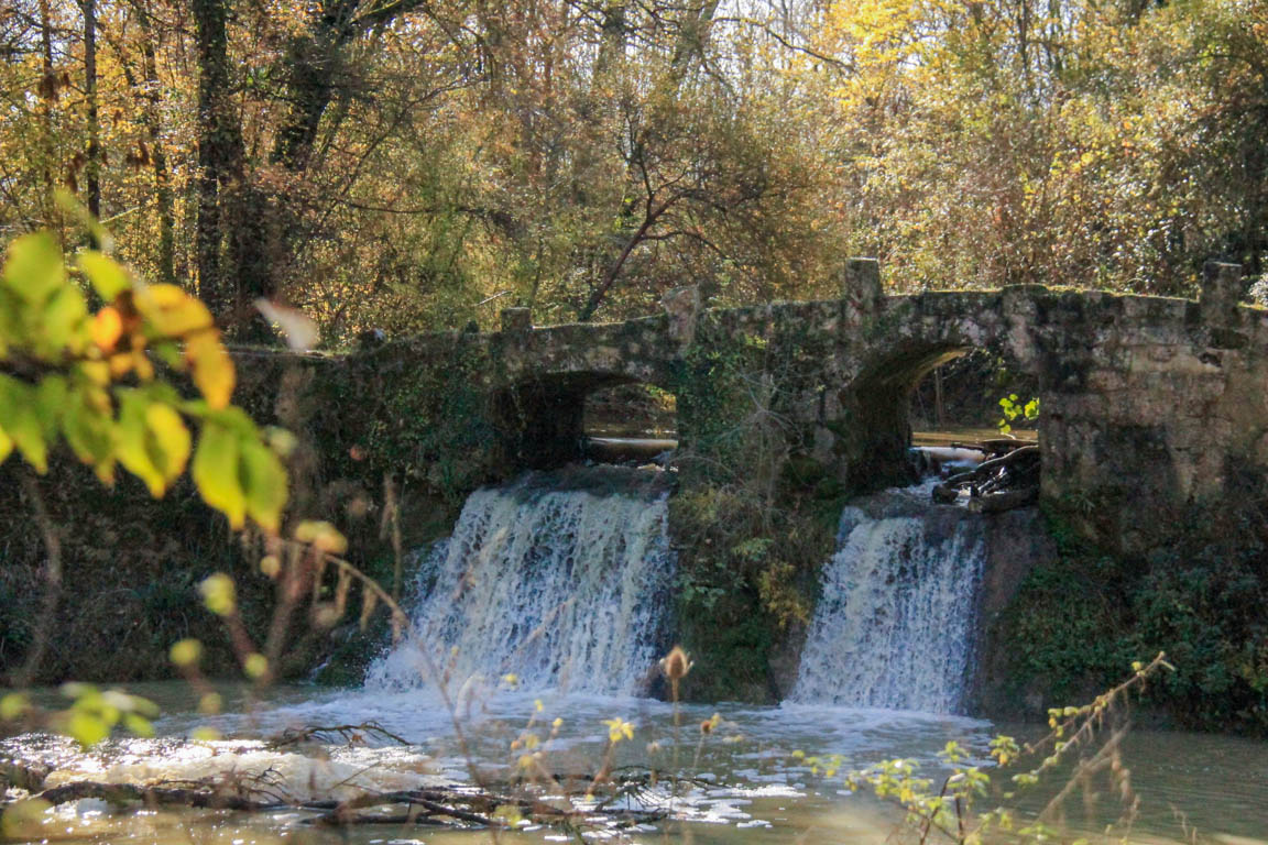 Le Fréchou, le pays des frênes, Fréchou - photo 5