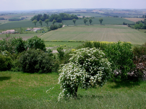 Moncaut, balade sur le mont chauve, Moncaut - photo 7
