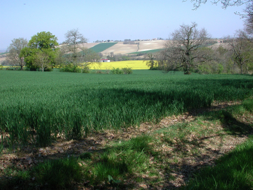 Moncrabeau, le mont des chèvres, Moncrabeau