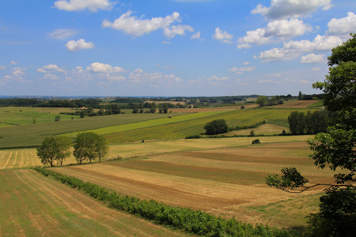 Montagnac, petite montagne d'Albret, Montagnac-sur-Auvignon - photo 8