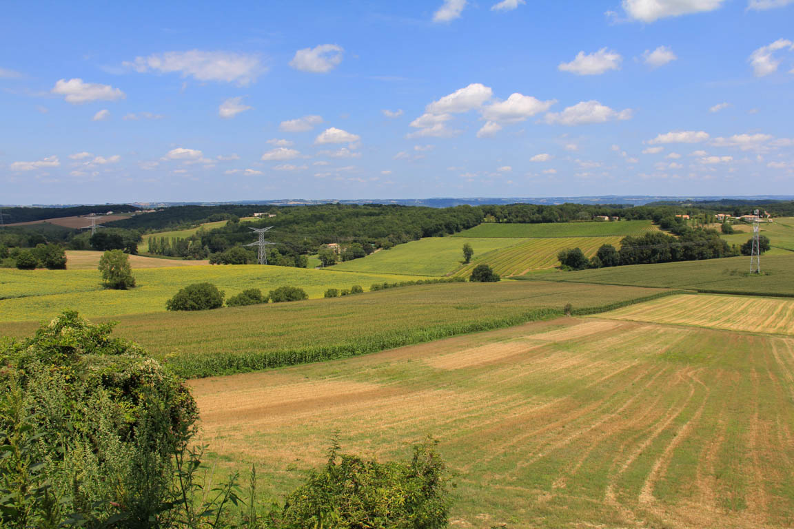 Montagnac, petite montagne d'Albret, Montagnac-sur-Auvignon - photo 10