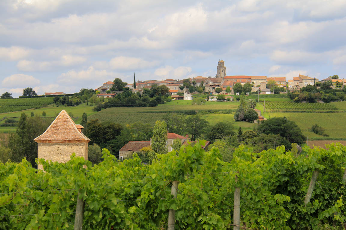 Montagnac, petite montagne d'Albret, Montagnac-sur-Auvignon - photo 4