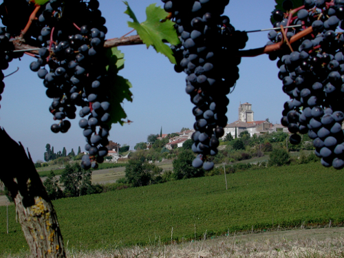 Montagnac, petite montagne d'Albret