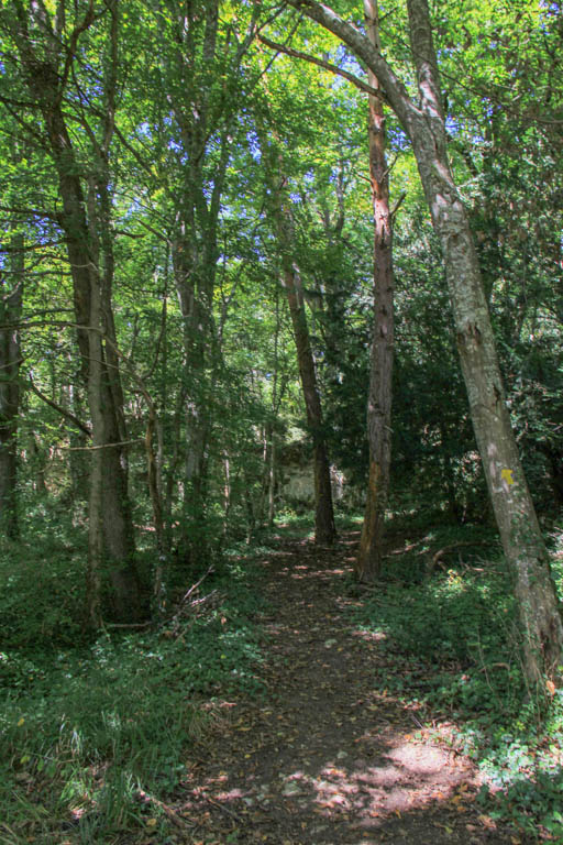 Le Saumont, randonnée autour du mont boisé, Saumont - photo 11