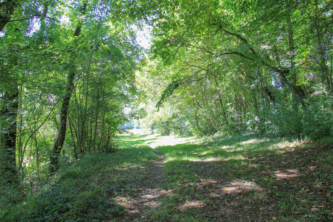 Le Saumont, randonnée autour du mont boisé, Saumont - photo 10