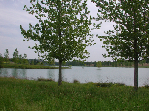 Saint-Vincent-de-Lamontjoie, balade vers le lac de Lambronne, Saint-Vincent-de-Lamontjoie - photo 4