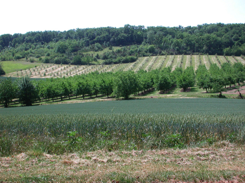 Rouet, balade panoramique, de l'église au Pech, Saint-Aubin - photo 2