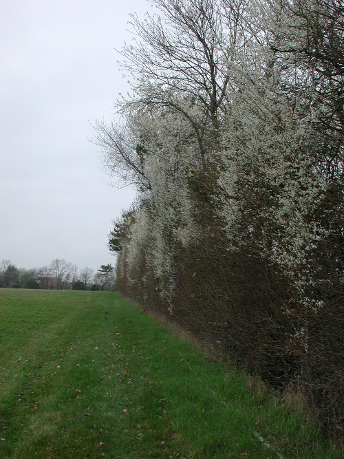 St-Aubin, la randonnée de Couzétou