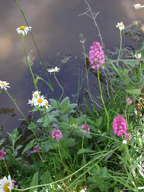 St-Aubin, la randonnée de Couzétou, Saint-Aubin - photo 2