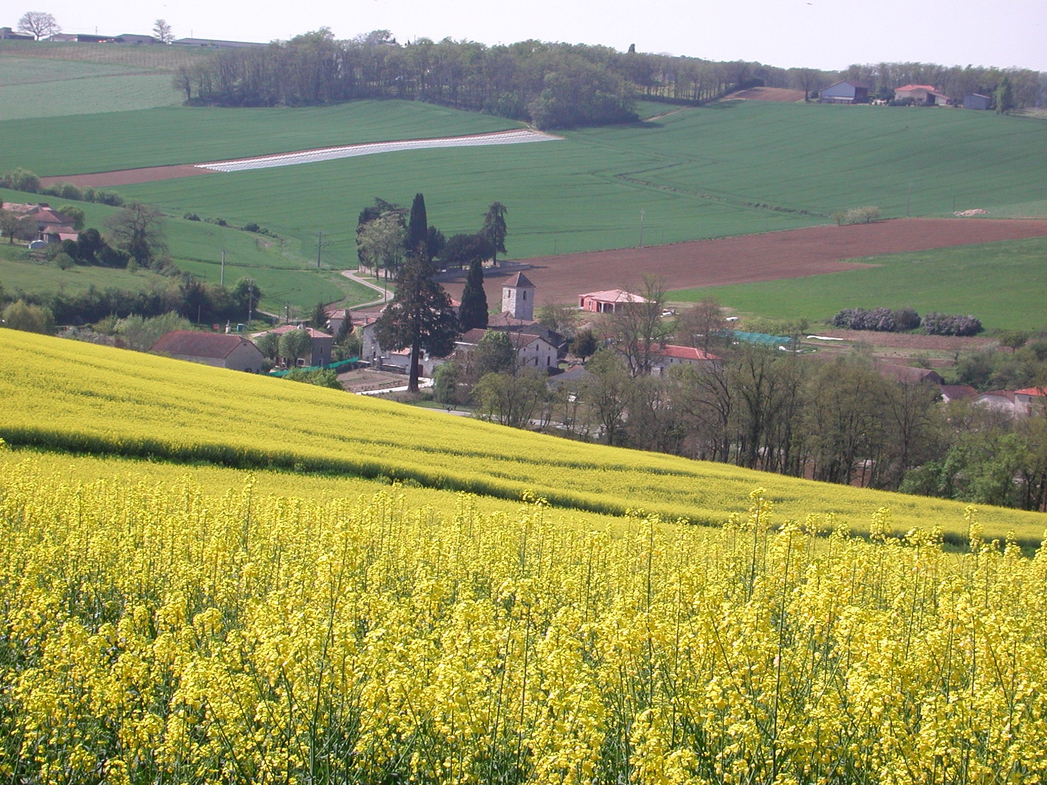 Pleichac, une petite boucle panoramique, Laplume - photo 3