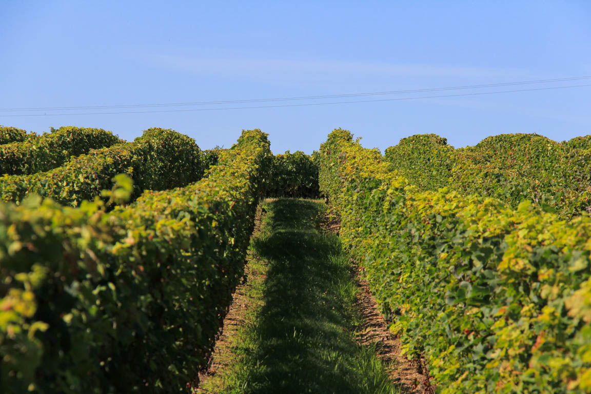 Buzet, un pont-canal sur la Baïse