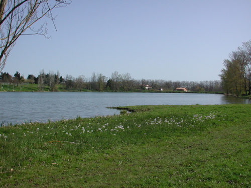 Damazan, la bastide du Canal de Garonne, Damazan - photo 2